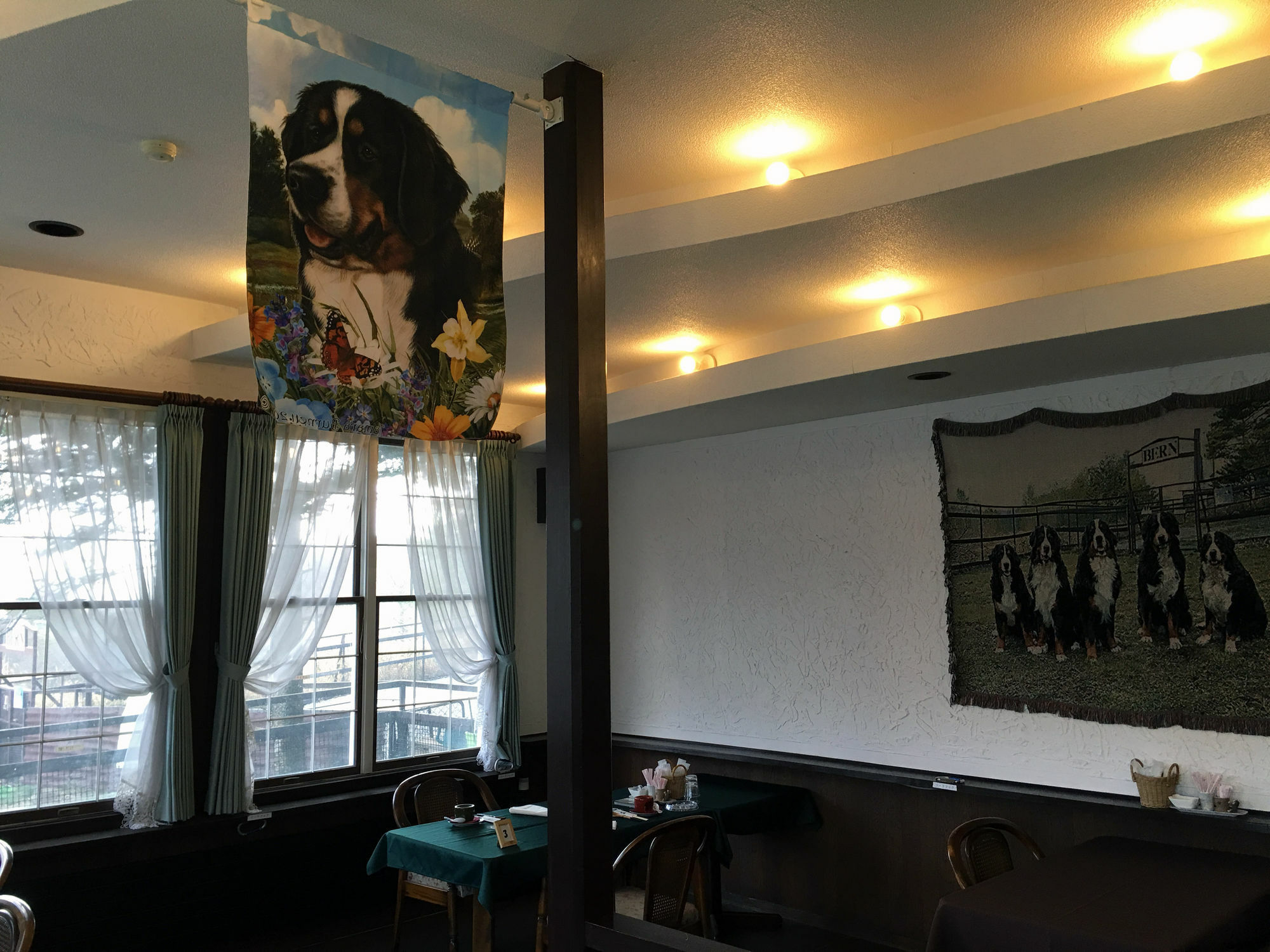 צ'ינו Guest House Bern מראה חיצוני תמונה